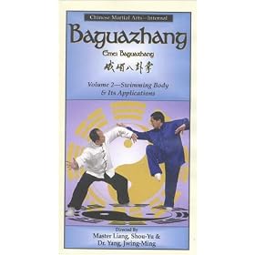 Baguazhang 2 - Swimming Body and Its Applications. [VHS]