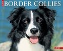 Just Border Collies 2007 Calendar