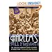 Harlem's Hell Fighters: The African-American 369th Infantry in World War I