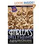 Harlem's Hell Fighters: The African-American 369th Infantry in World War I