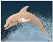 Bottle Nose Dolphin 3D Woodcraft Construction Kit