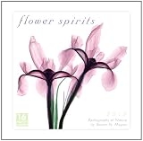 Flower Spirits 2012 Wall (calendar)