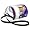 Minnesota Vikings