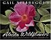 Gail Niebrugge's Alaska Wildflowers