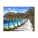 Coconut Walk by Rita Van Gorder Outdoor Wall Art - 24x19"