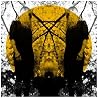 Image of album by Austra