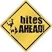 New  American Pit Bull Terrier - Bites Ahead !  Crossing Dog