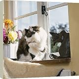 20 Inch Box Canvas (51cm) Cat - cleaning itself on windowsill by Ardea