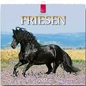 Friesen 2012