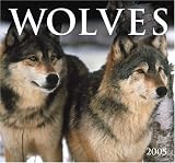 Wolves 2005 Calendar