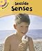 Seaside Senses