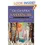 The Wandering Fire (The Fionavar Tapestry, Book 2)