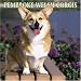 Pembroke Welsh Corgis 2006 Calendar