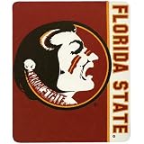 Florida State Seminoles (FSU) 50x60 Stripes Series Royal Plush Blanket Throw