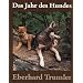 Podencos, Galgos und Windhund.Mischlinge