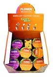 Flower Mini Grow Pots x 18, Easy Flower Growing