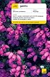 Teach Yourself Gaelic Book/CD Pack (Teach Yourself Languages)