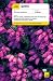 Teach Yourself Gaelic (Teach Yourself Complete Courses) by Boyd Robertson ISBN 0340866675