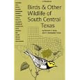 Birds and Other Wildlife of South Central Texas: A Handbook (Corrie Herring Hooks Series) by  Edward A. Kutac and S. Christopher Caran