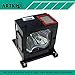 LMP-H200 Replacement Lamp for Projector Sony VPL-VW40 VPL-VW50 VPL-VW60 (by Artki)