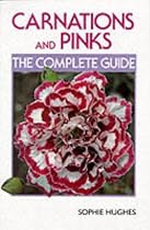 Carnations and Pinks: The Complete Guide