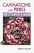 Carnations & Pinks: The Complete Guide