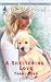 A Sheltering Love (Love Inspired #302)