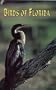 Birds of Florida