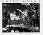 Ansel Adams (Calendar)
