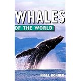 whales of the world of the world series