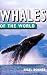 Whales Of The World (Of the World Series)