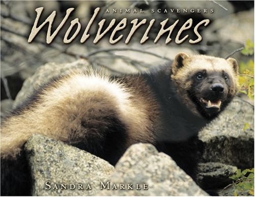  Wolverines (Animal Scavengers)