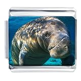 Manatee In The Ocean Animal Photo Italian Charms Bracelet Link