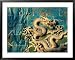 Detail of the Nine Dragon Screen in Beihai Park, Beijing, China Lonely Planet Collection Framed Art Poster Print by Jonathan Smith, 39x31