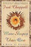 More Shapes Than One: A Book of Stories