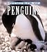 Book Penguins: Growing Up Wild
