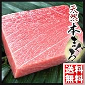 ◆◆【セール】 わけあり訳あり天然本マグロ大トロ今だけ静岡産おろしわさび付き大特価絶品グルメ
