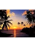 IDEALDECOR WALL MURALS & DOORPOSTERS Wallpaper 276 Wallpaper IDEALDECOR WALL MURALS & DOORPOSTERS Wallpaper -276 Wallpaper