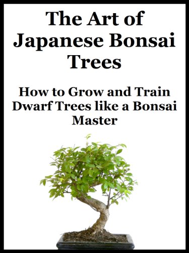 The Art of Japanese Bonsai Trees - How to Grow 