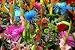 Mixed Multicolored Flowers - 24