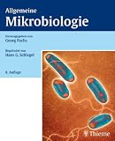 Bild zu: Allgemeine Mikrobiologie