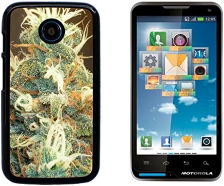 Marijuana Kush Weed Hard Plastic and Aluminum Back Case for Motorola Moto E