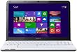 sony vaio