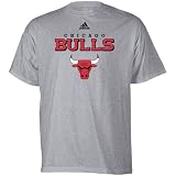 adidas Chicago Bulls Ash True Court T-shirt