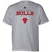 Adidas Chicago Bulls Ash True Court T-shirt