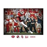 NCAA Oklahoma Sooners Adrian Peterson Mural Wall Graphic