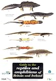 Guide to the Reptiles and Amphibians of Britain and Ireland (Occasional Publications)
