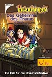Baadingoo 06 - Das Geheimnis des Pharao - Ein Fall f&uuml;r die Urlaubsdetektive - Ulf Blanck, Timo M&uuml;ller, Stefanie Wegner