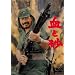 ���ƍ� [DVD]