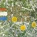Stone Roses